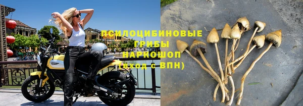 марки nbome Белокуриха