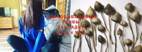 марки nbome Белокуриха