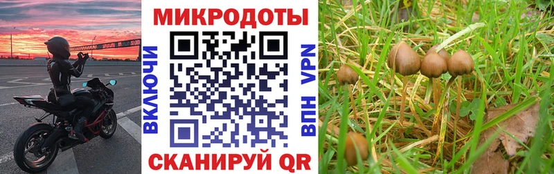 Галлюциногенные грибы Magic Shrooms  нарко площадка официальный сайт  Буинск 